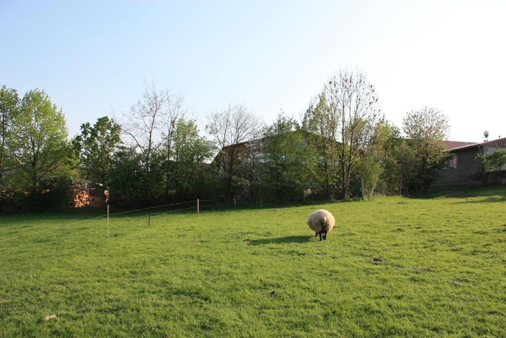 Landhotel Rosenschaenke Kreischa Esterno foto
