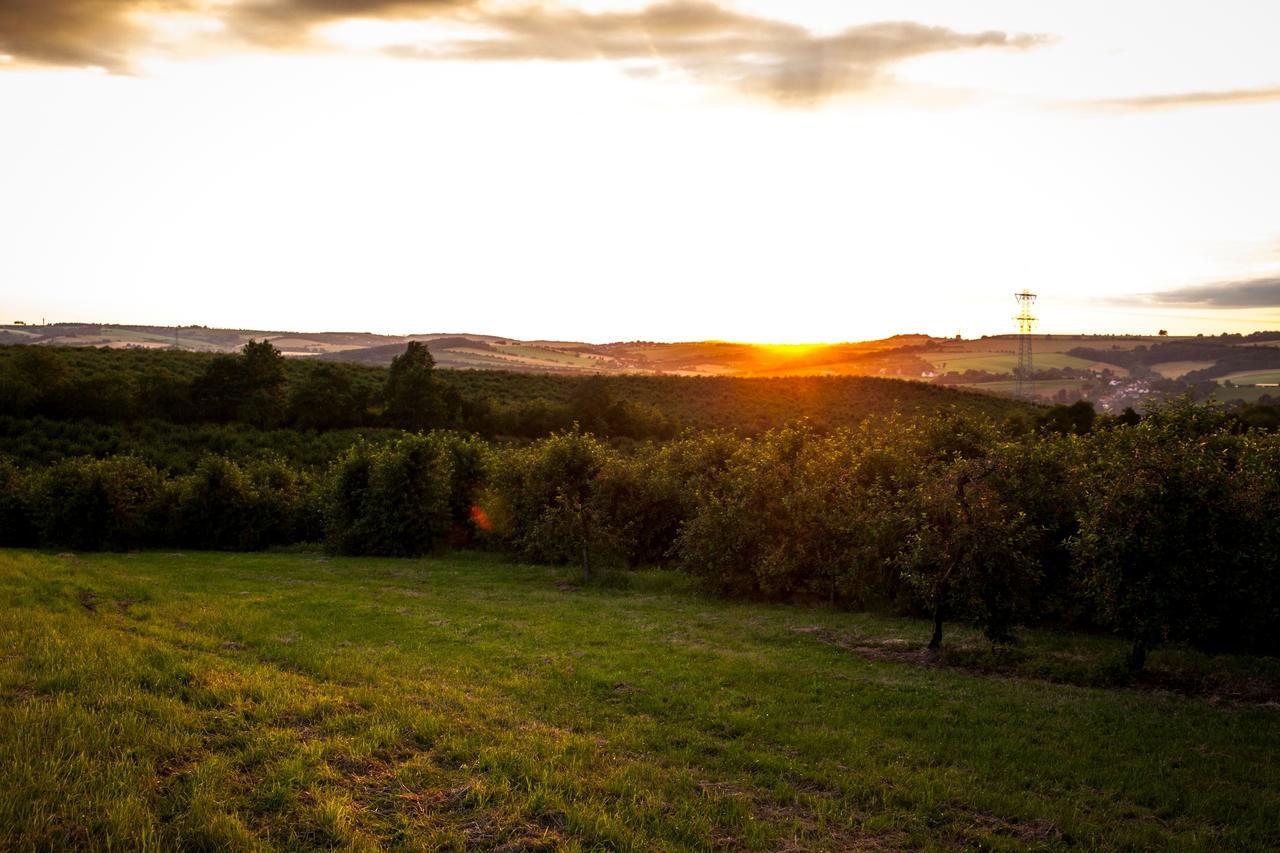 Landhotel Rosenschaenke Kreischa Esterno foto